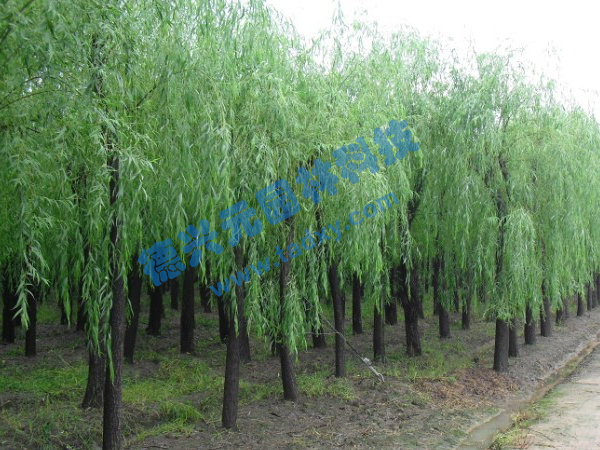 �c���鿴Ԕ����Ϣ���}������ ��x�Δ�(sh��)��2410