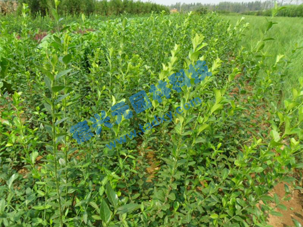 �c���鿴Ԕ����Ϣ���}�����~������ ��x�Δ�(sh��)��2786