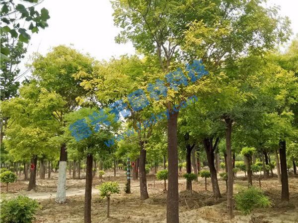 �c���鿴Ԕ����Ϣ���}�����~�� ��x�Δ�(sh��)��2341