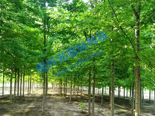 �c���鿴Ԕ����Ϣ���}�������t�� ��x�Δ�(sh��)��2060