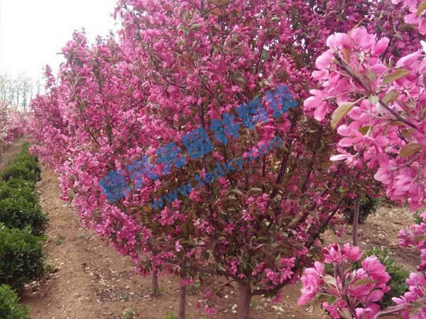 �c���鿴Ԕ����Ϣ���}���k������ ��x�Δ�(sh��)��2254